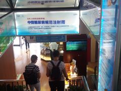 -上海市第一医药商店(南京东路店)