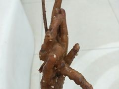 -阿芮烤鸡爪(合生广场店)