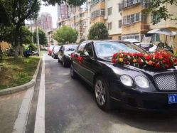 -蚂蚁婚车