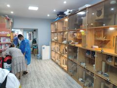 -叮叮猫咪生活馆