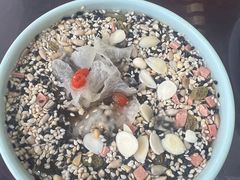 -邢家锅贴老店·非遗·开封菜(金明广场店)