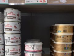 -伟伟宠物医院·瑞派猫友好医院·猫科(光谷店)