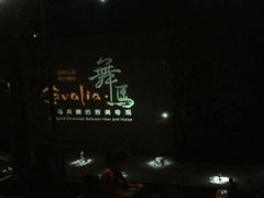 -cavalia·舞马