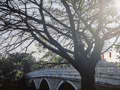 -海珠湖公园