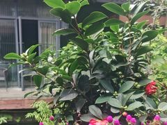 -大妙火锅·非物质文化遗产(东湖公园店)