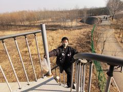 -东郊湿地公园
