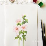 小清新手绘[礼花]太美了第一次看见这么美的花居然在画里