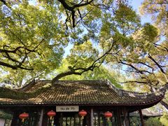 -上海醉白池公园