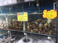 -蚝专家(北滘店)