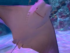 -沈阳海洋探索中心