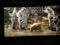 -万达影城(蜀都万达广场IMAX店)