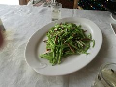 -丁老爷子苏香圆