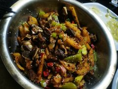 -波密野生菌王酒家