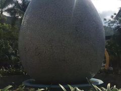 -100蛋泥浆浴