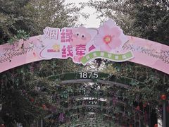 -连云港民主路老街