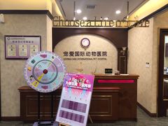 -宠爱国际动物医院· 猫科· 外科·中兽医(长白店)
