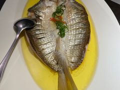 鸡汁野生大白条-外婆家(杭州马塍店)