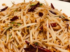 肉丝笨豆芽-蒙古人烤羊大师·绿野餐厅(工农大路店)