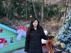 -沂蒙山旅游区云蒙景区(蒙山国家森林公园)