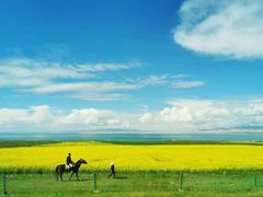 -青海湖国家重点风景名胜区