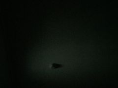 -世纪缘湖滨花园酒店(玄武湖店)