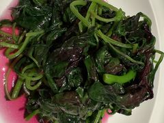 -许家菜(DT51店)