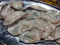 -鸿渡渔庄·特色鸭咀鱼