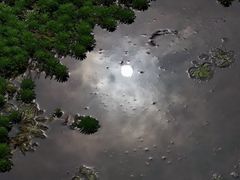 -桤木河湿地公园