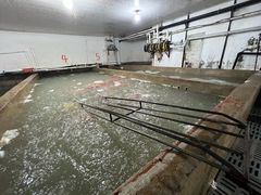 -中国舟山国际水产城