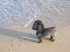 -碧桂园十里银滩