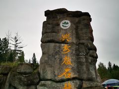 -汤旺河林海奇石景区