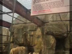 -南昌动物园