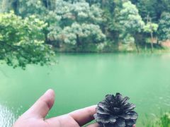 -缙云山景区