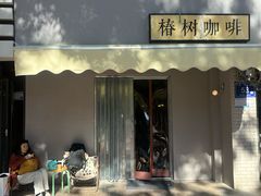 -椿树咖啡