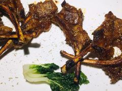 -The Cheebat 锌吧·Bistro(体育西店)