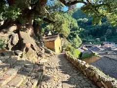 -杨家堂村