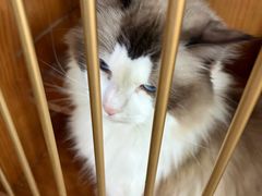 -厦门园林博览苑