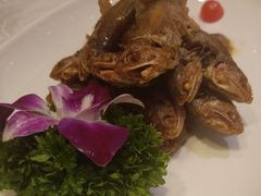 -金米箩大酒店(五角场店)