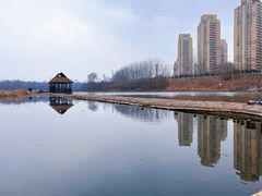 -前关湿地公园