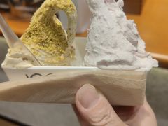 -野人先生现做冰淇淋(北京环宇荟店)