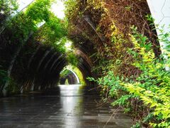 -天津东丽湖风景区