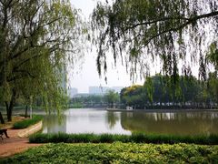 -泰丰公园
