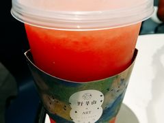 -野萃山·潮汕厚果汁(十亩地店)
