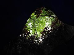 -青青世界