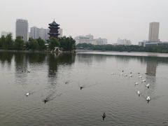 -迎泽公园