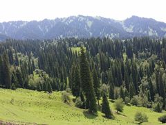-新疆那拉提国家旅游度假区