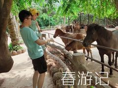 -海南热带野生动植物园