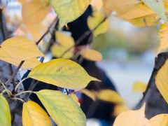 -长沙市青少年宫