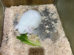 -上海昆虫博物馆