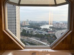 -新加坡丽思卡尔顿美年酒店